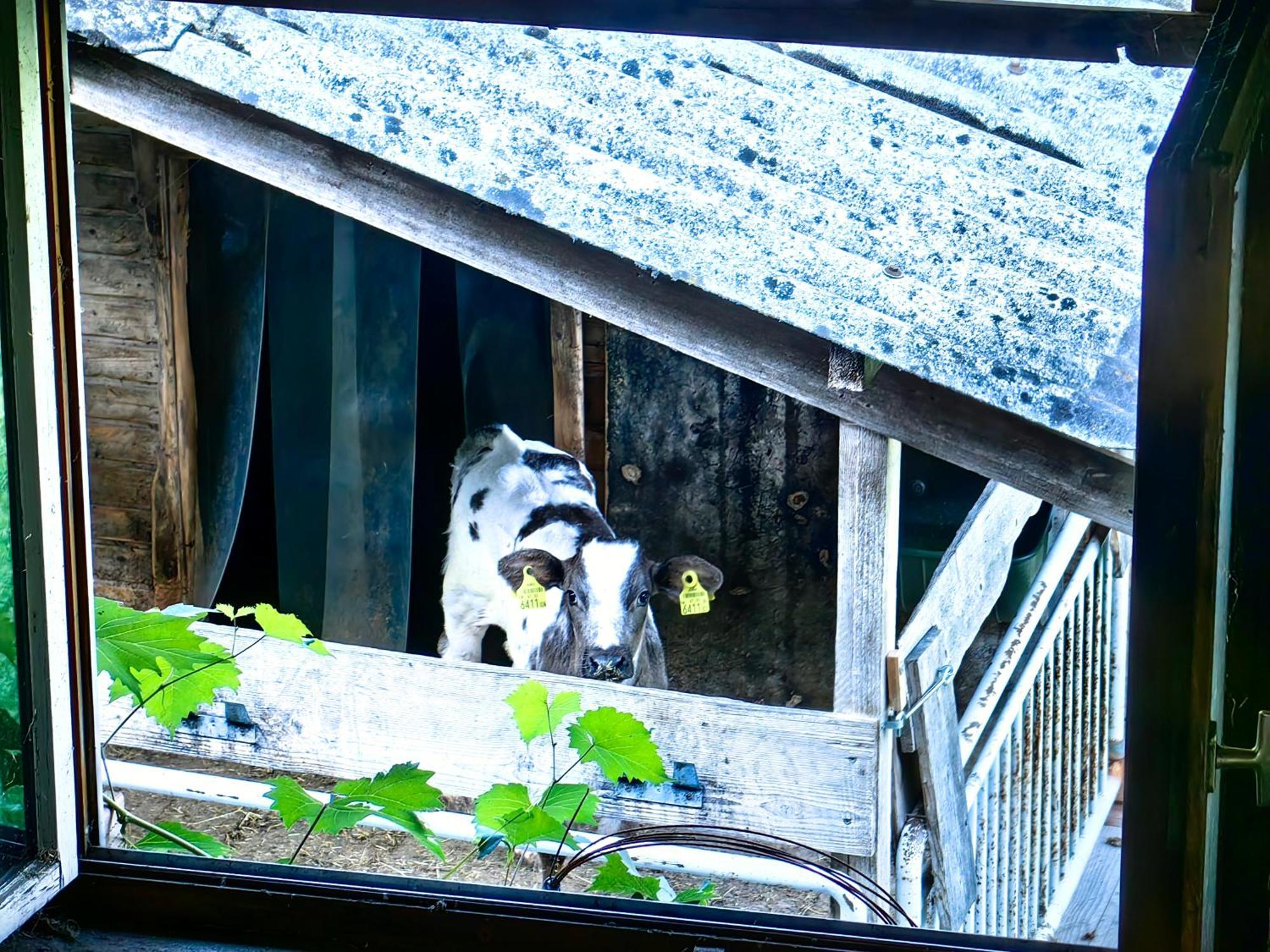DorenVoegelhofアパートメント エクステリア 写真